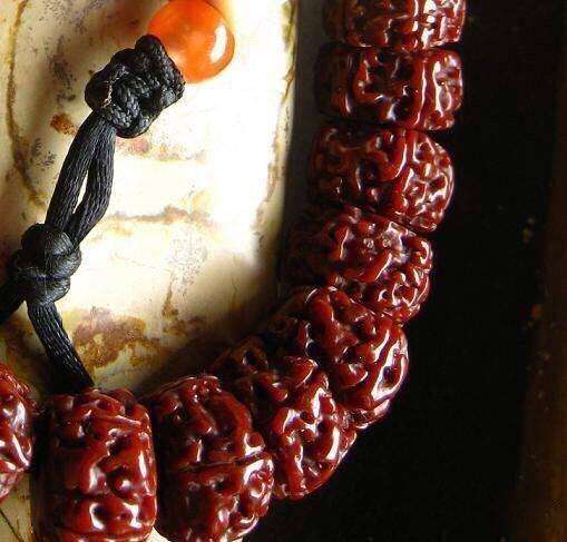 金刚菩提是啥树的果实？