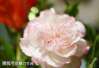 第五章：施肥要适量