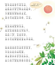 四季轮回之美， 尽在植物图鉴