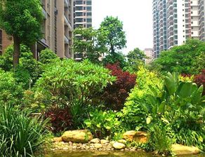 园林绿化工程报价大揭秘：是按平方米还是整体预算？