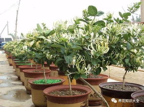 七、其他注意事项