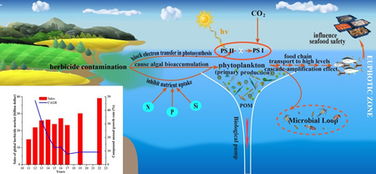除草剂对生态系统的研究