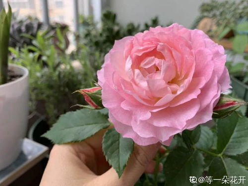 三、 不褪色的程度，以愈小愈好