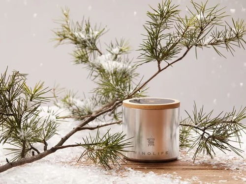 雪松过冬需要防寒吗？