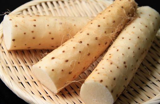 山药原产于中国，主要分布在河南、山东、河北等地