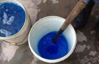 波尔多液的诞生：一场意外的奇迹