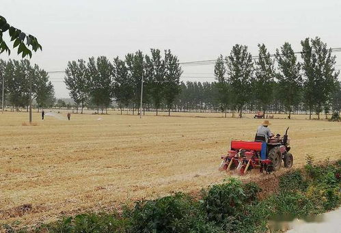 晒种作用解析：科学实验告诉你答案