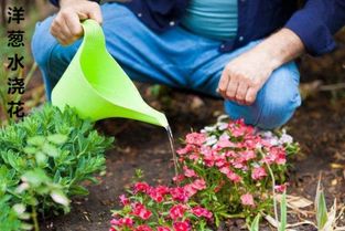 醋：调味品还是养护秘籍？