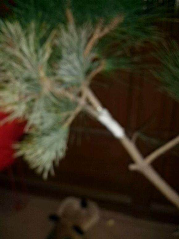 五针松盆景的土壤搭配