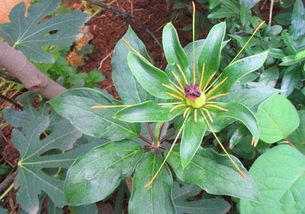 颜色变化，堪不懂的玄机