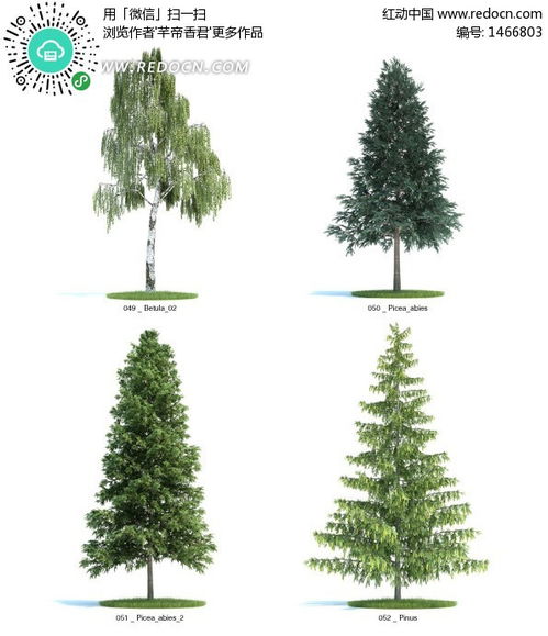 在厦门鼓浪屿拍了上百家庭院， 这些才是闽南阿嬷的智慧选择：