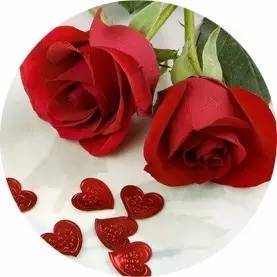 水养玫瑰花方法全解析