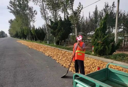 马路杀手的主要成因