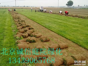 日常养护的门道