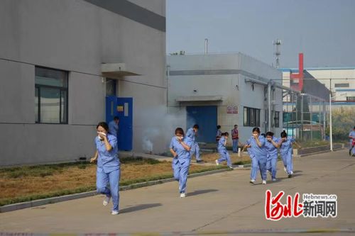 石家庄有哪些禽饲料厂属于河北省饲料厂企业名单？