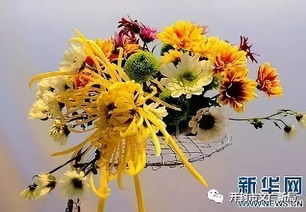 菊花在艺术中的象征意义和文化价值如何体现