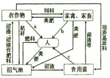 揭秘水循环：农业领域不可或缺的三种基本循环机制