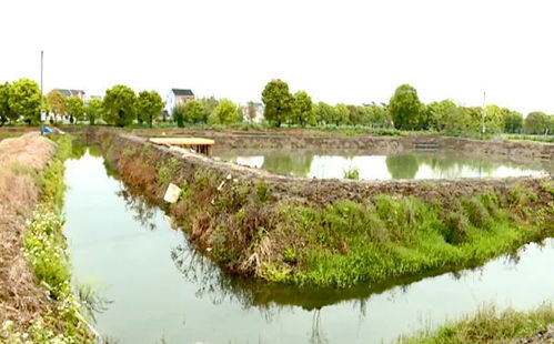 深秋空栏消毒，保障养殖环境安全