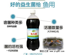 豆渣如何通过变废为宝技术转化为高效饲料？