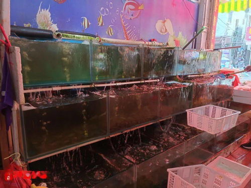 探索螃蟹市场价：揭秘海鲜交易中的经济动态