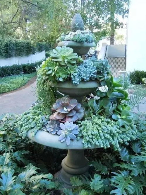 温差管理：让花卉适应季节变化