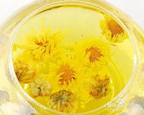 过夜的菊花茶水能喝吗？喝了会怎样