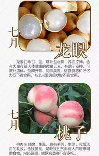 一年四季水果时间表在哪？应季水果大全