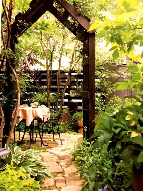 苗木根盆浸水，小树苗喝饱水