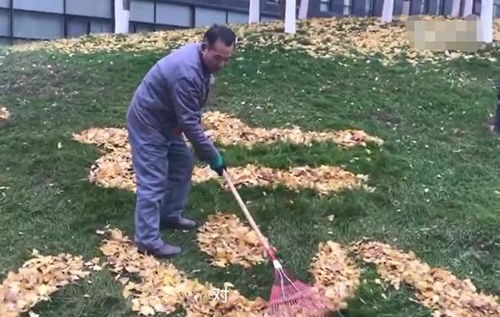 水肥管理不可忽视