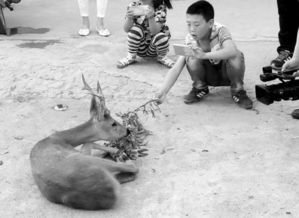 农药的神奇魔力