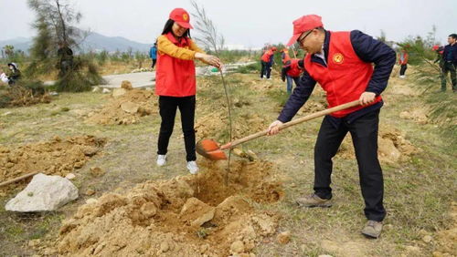 河北保定老赵的教训