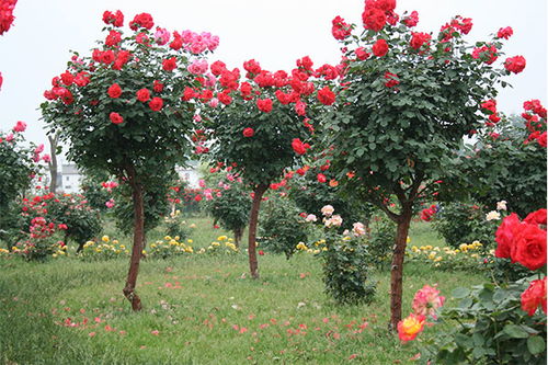 价格，透明又实在