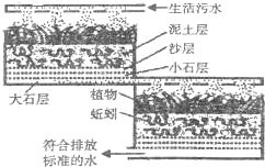 彭州：中国五大商品蔬菜生产基地