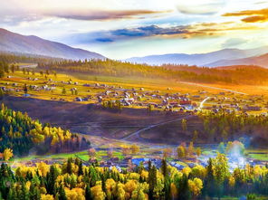 西藏林周县常见草本大揭秘