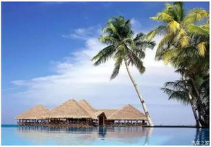 成活率差的玄机