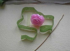 第五步：固定叶子