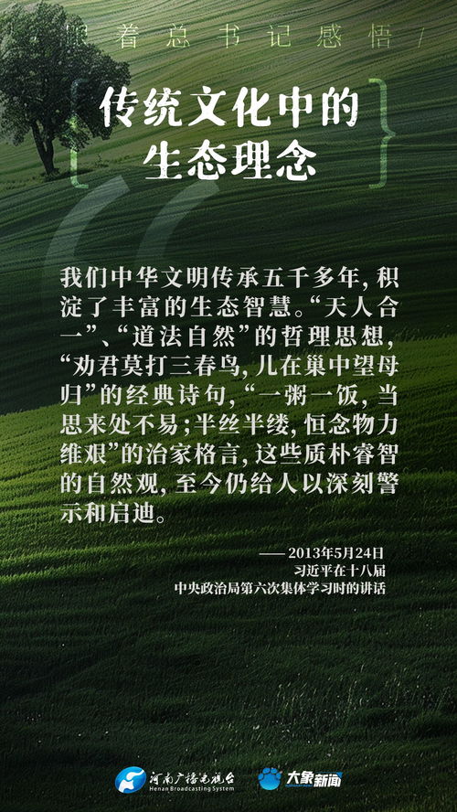 生态理念：绿色实践