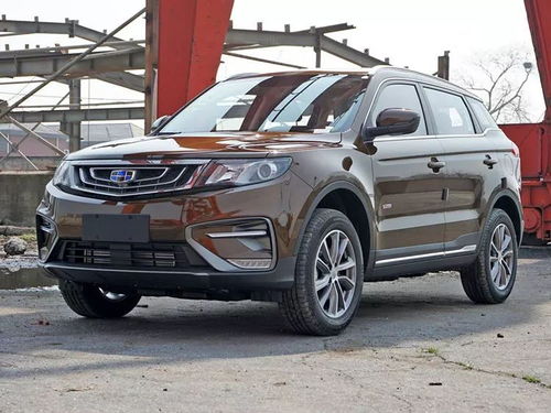 推荐几个性价比高的雪松