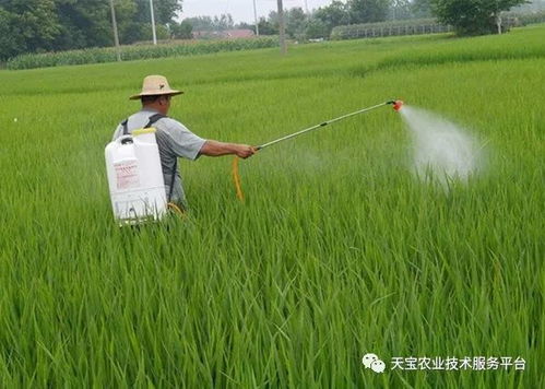 阿维菌素：混用效果geng好