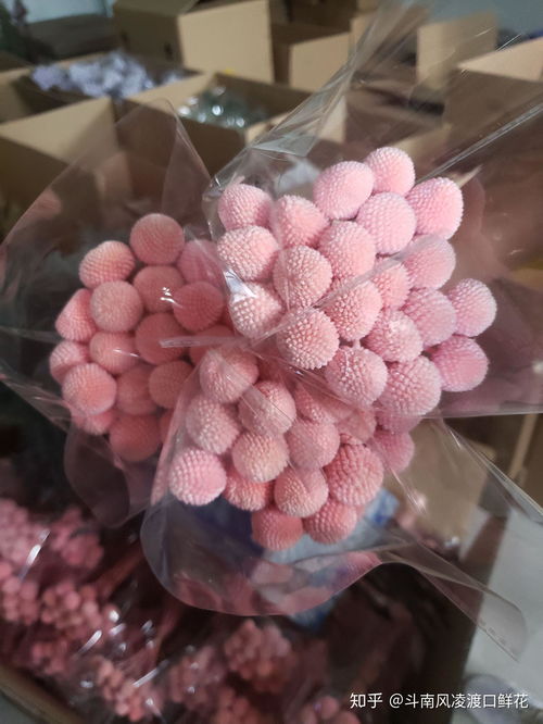 昆明斗南批发花卉，如何挑选性价比高的花束