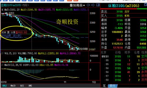 期货豆粕交易中，如何判断买入时机，避免价格波动风险？