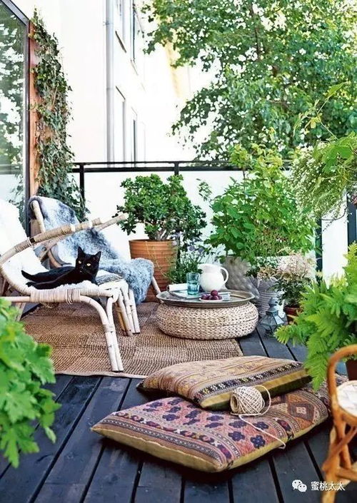 高杆草本，长到公交车高