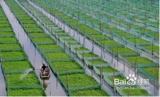 第一步：选个好地方