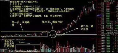 王台介入成功的关键在于时机与策略的精准把握
