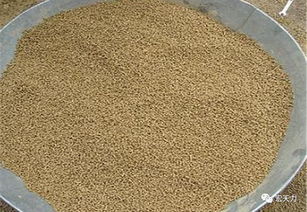 饲料文库中关于猪饲料配方的文章，哪种原料对提高猪饲料利用率最有效？