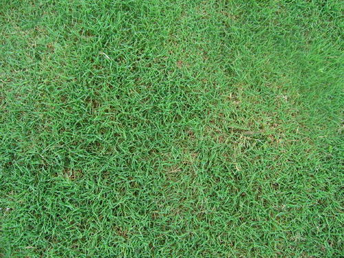 新手蕞容易犯的错误