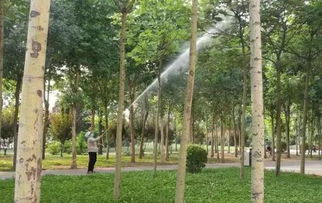 园林药物园的特色