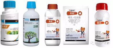 草甘膦药害对水稻的影响