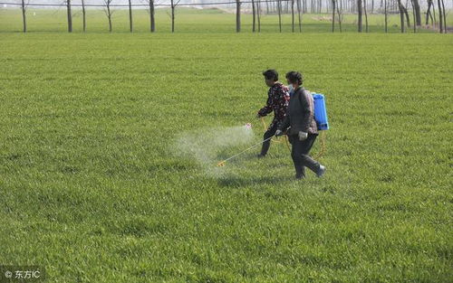春季秋季，上午还是下午？