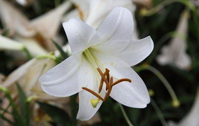 清水中的小秘密